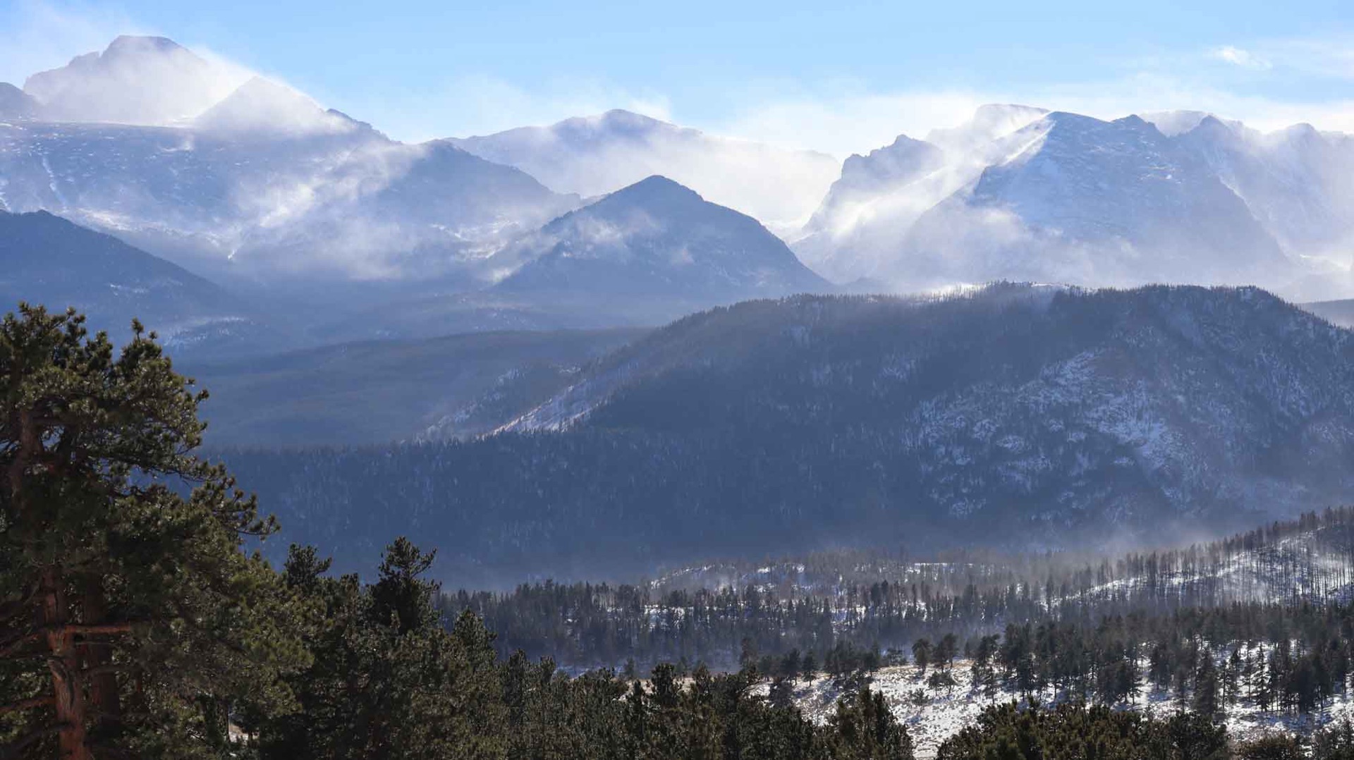 Snow-covered Rocky Mountain peaks above a forest